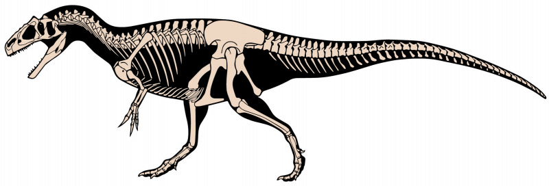 Динозавр Allosaurus jimmadseni