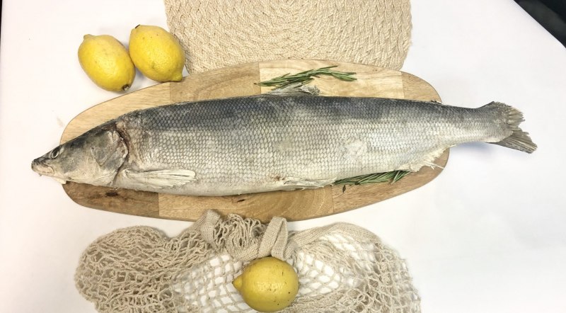 Сибирский Байкальский хариус