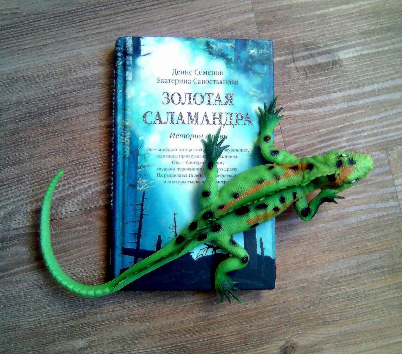 Шрифт Salamander
