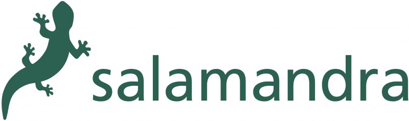 Salamander стим