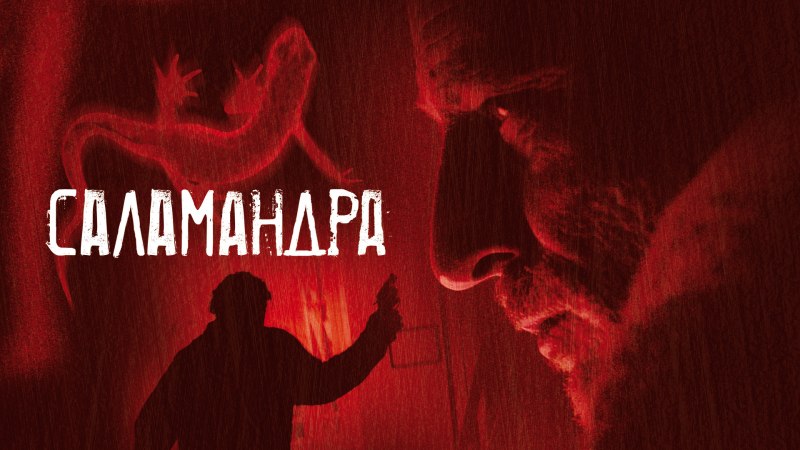 Чернобрюхая саламандра