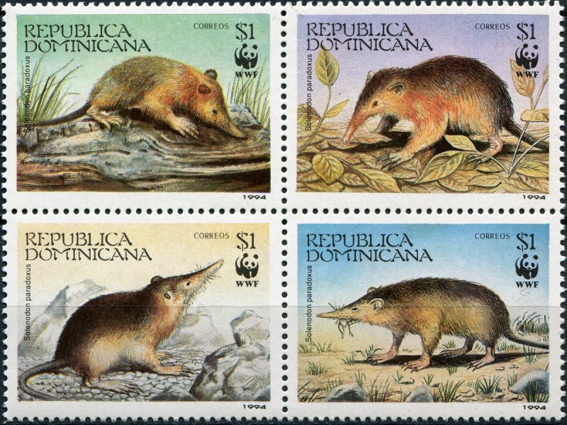 Microtus Bavaricus