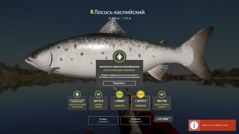 Каспийская Лососина