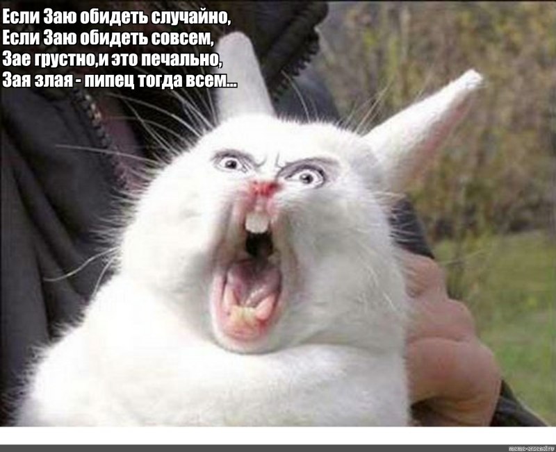 Заяц-Русак (лат. Lepus europaeus)