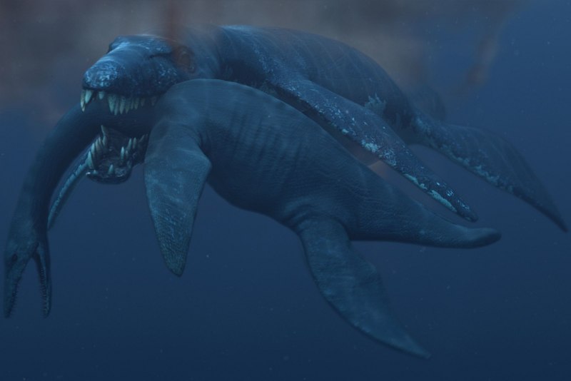 Livyatan Melvillei