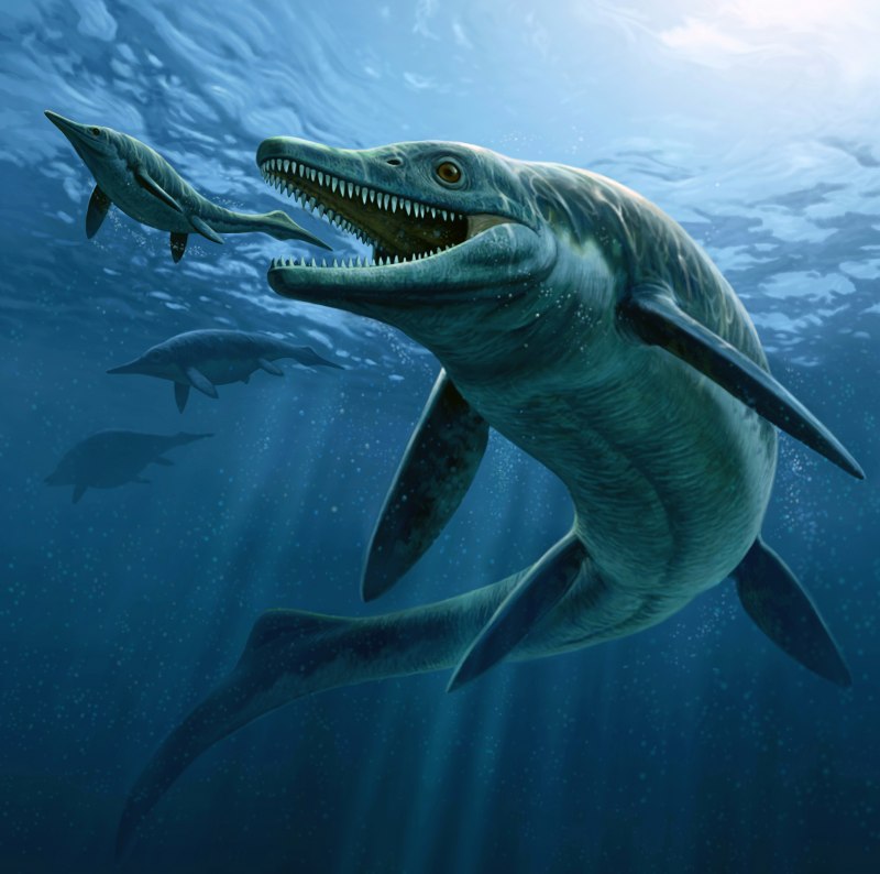 Arctotherium Angustidens