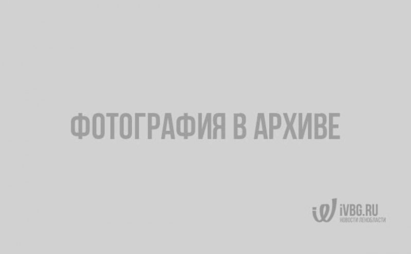 Большая Панда Китай