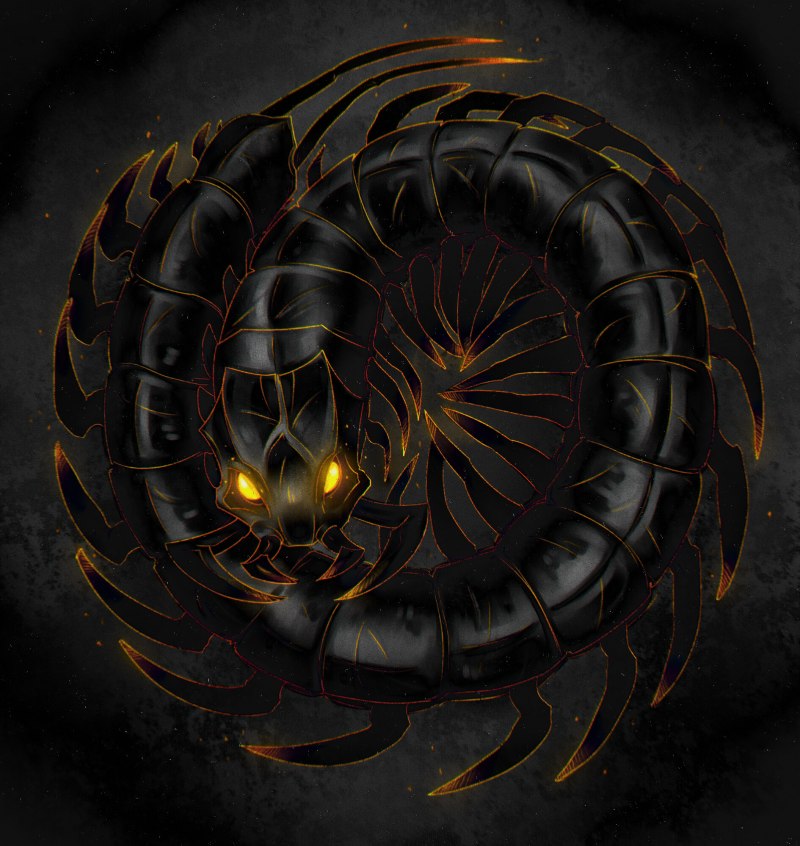 Scutigeromorpha Centipede
