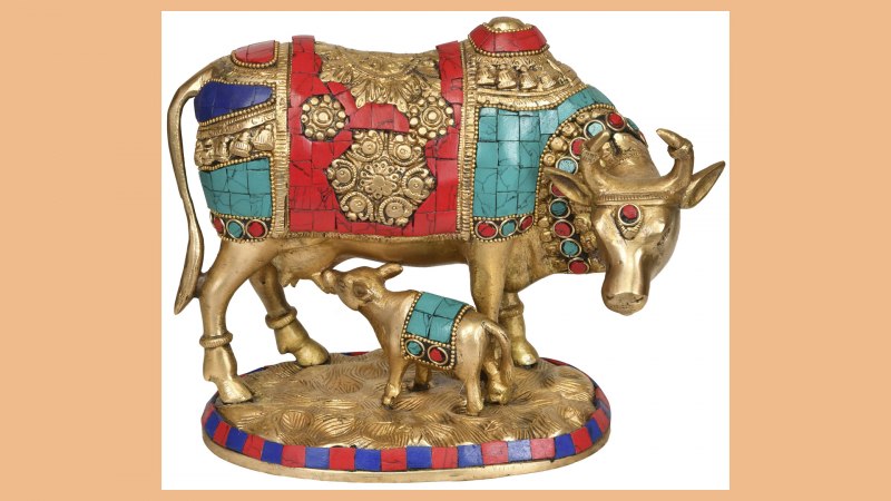 Белая индийская корова