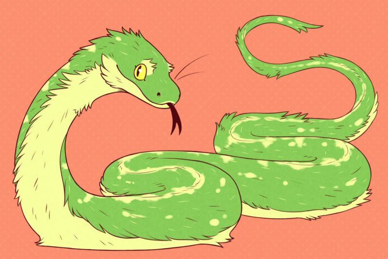 Колючая кустарниковая гадюка (Atheris hispida)