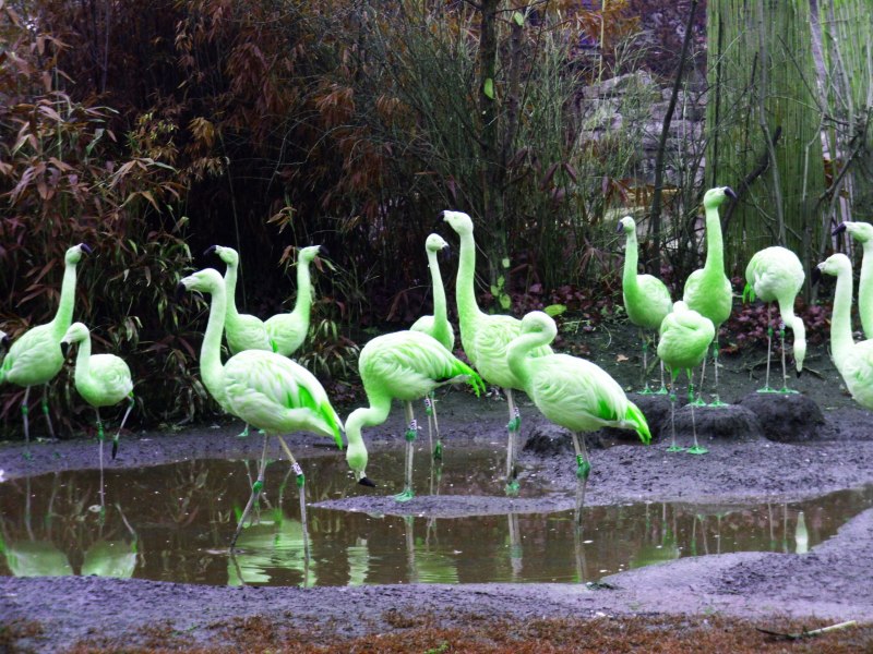 Flamingo Gardens Флорида