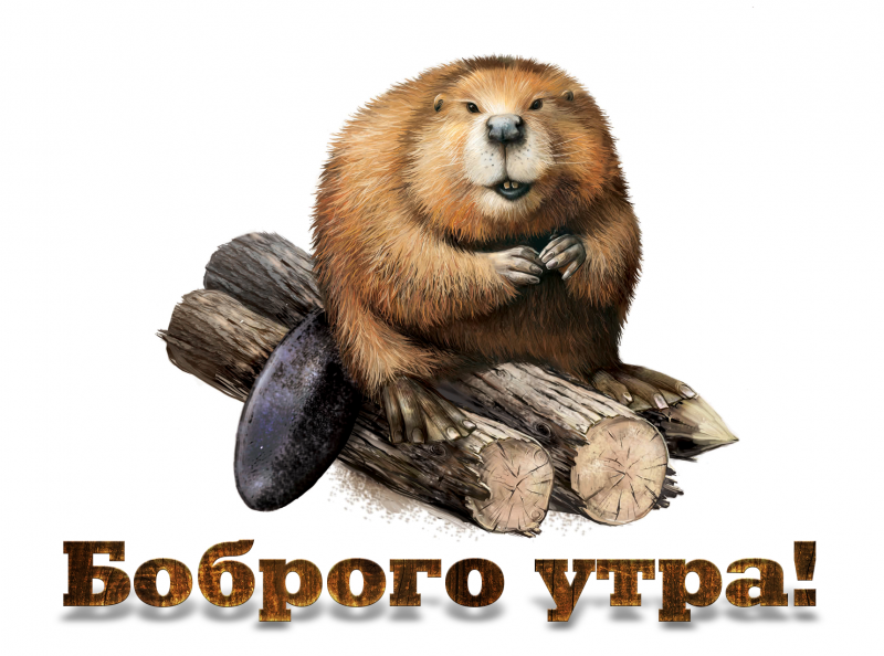 Доброго бобра
