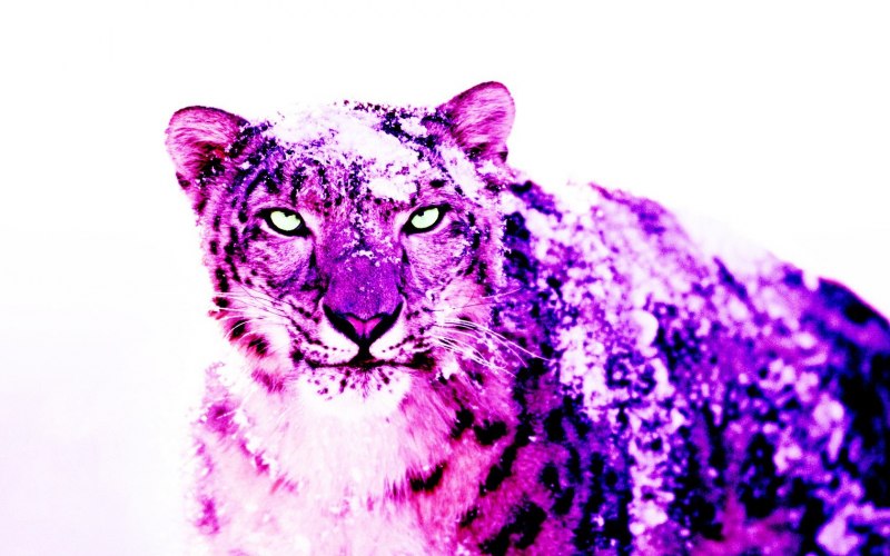 Furry эмо