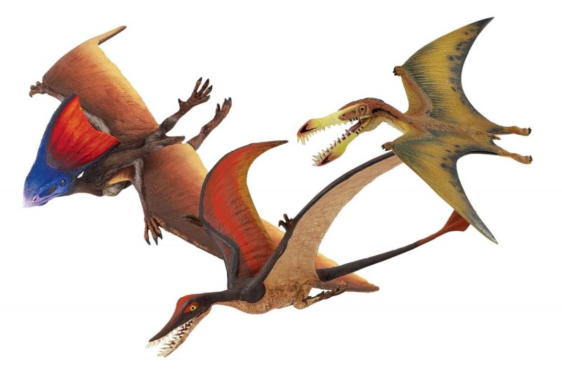 Pterodaustro guinazui