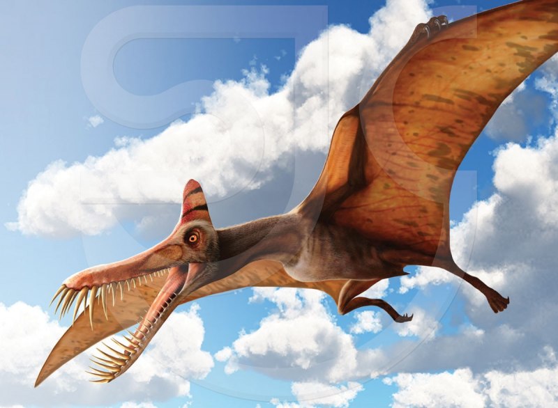 Wingzerox86 Jurassic World