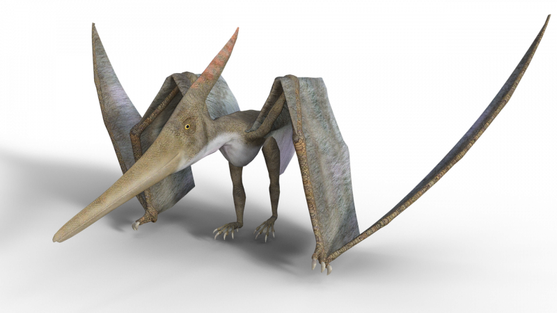 Schleich Капрозух