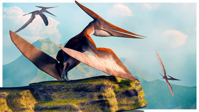 Pterodaustro guinazui