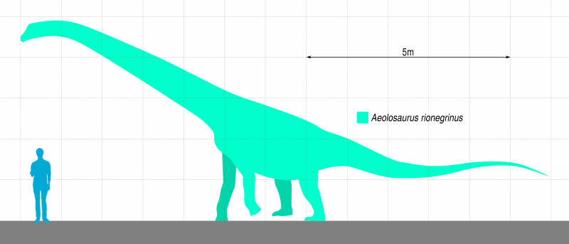 Динозавр Aeolosaurus