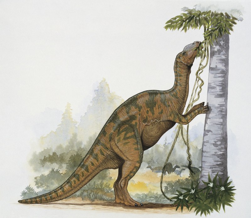 Hadrosaurus foulkii