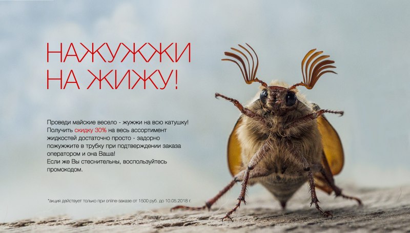Опылители Жук Майский
