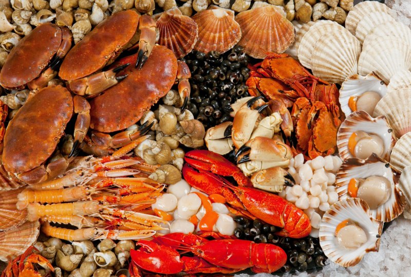 Деликатесы морепродукты