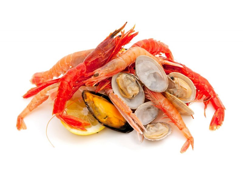 Морепродукты на белом фоне