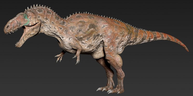 Acrocanthosaurus Atokensis