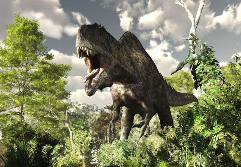 Acrocanthosaurus Atokensis