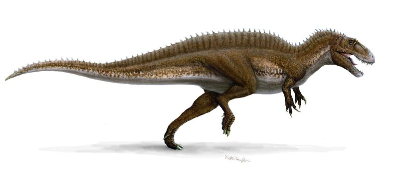 Acrocanthosaurus Atokensis