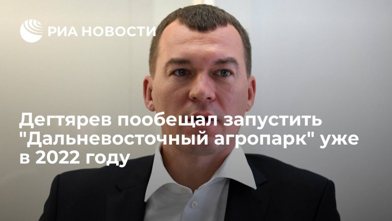 Барсук барсучиха Барсучонок