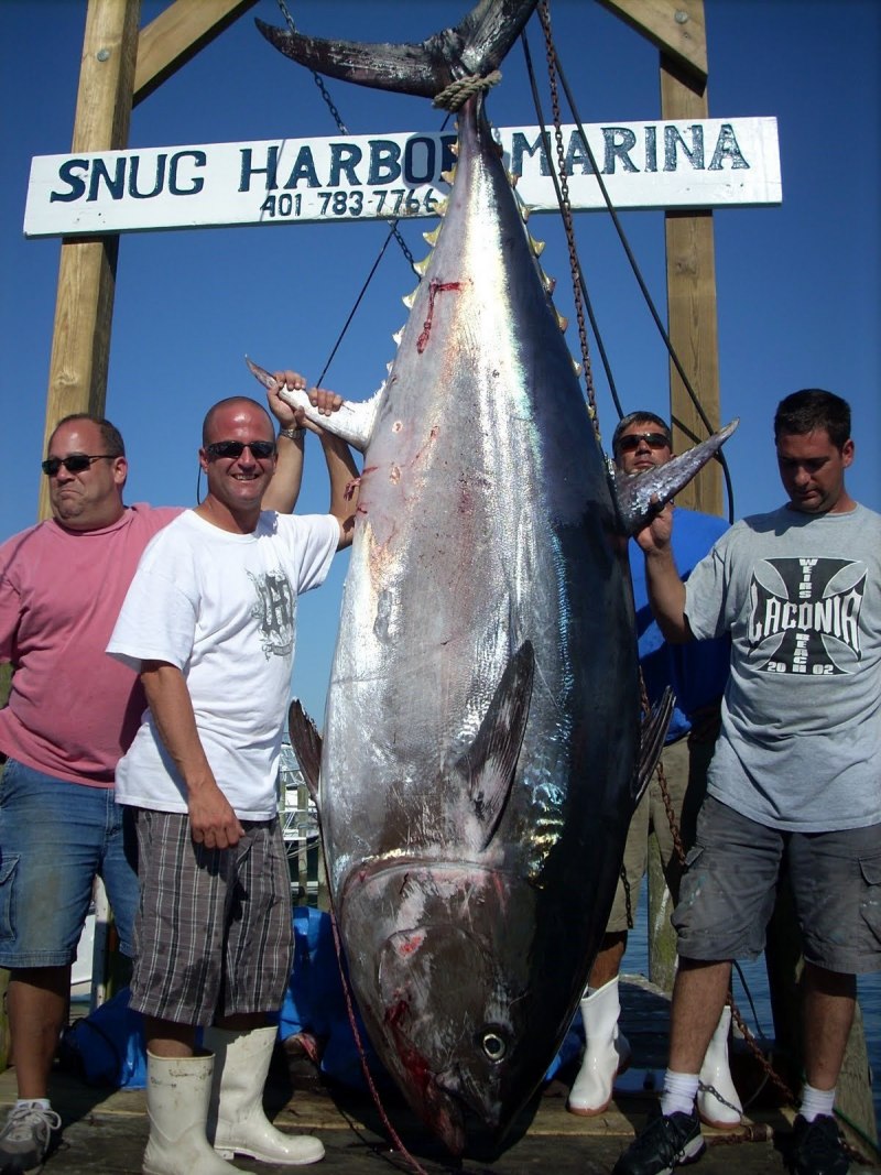 Тунец Bluefin