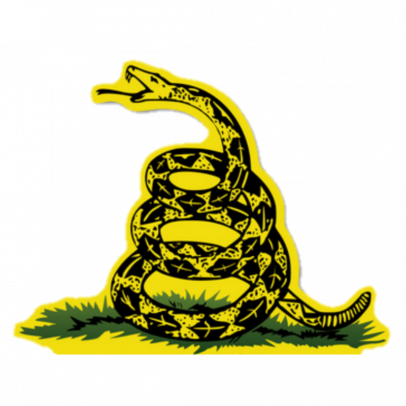 Don't Tread on me флаг