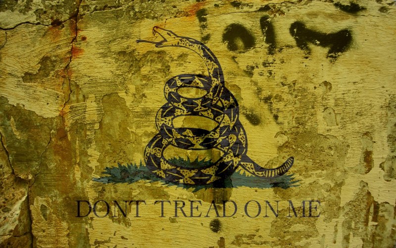 Змея don't Tread on me