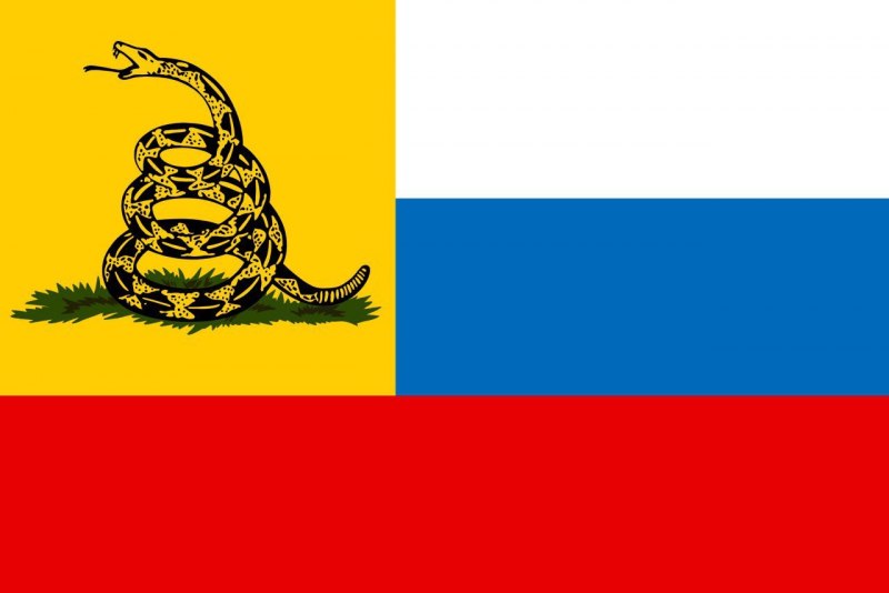 Флаг либертарианцев России