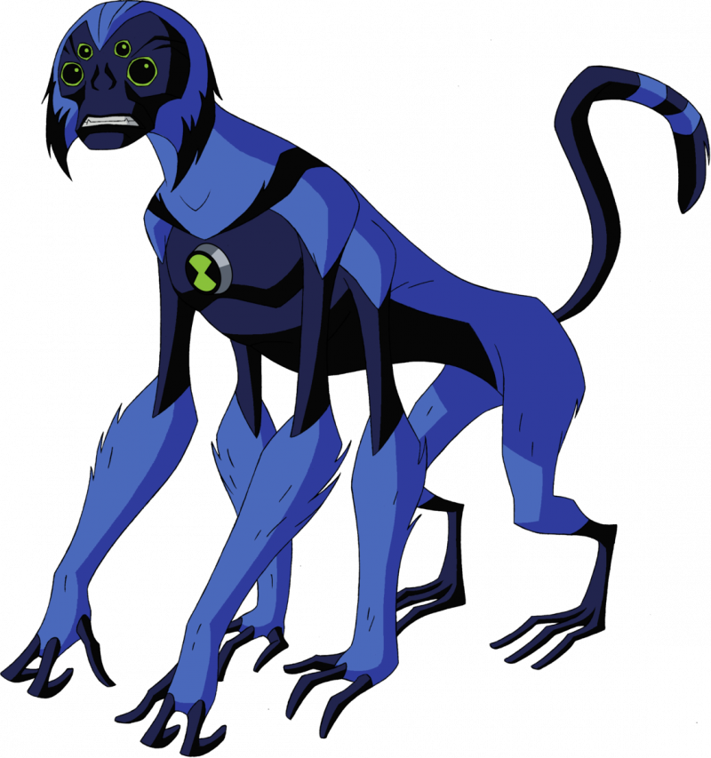 Black Spider Monkey