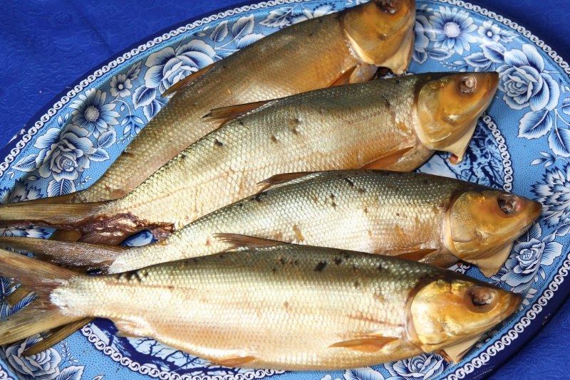 Байкальская рыба омуль