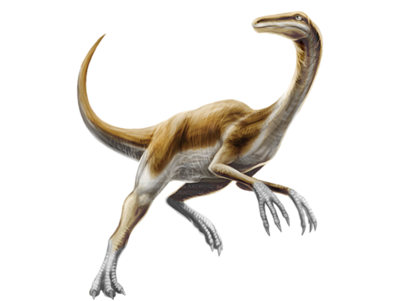АРК Gallimimus