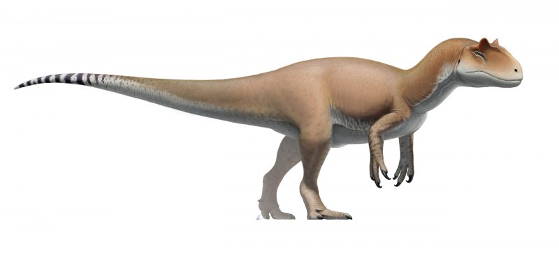 Фигурка динозавра Dino WRLD "Т-рекс" 28 см