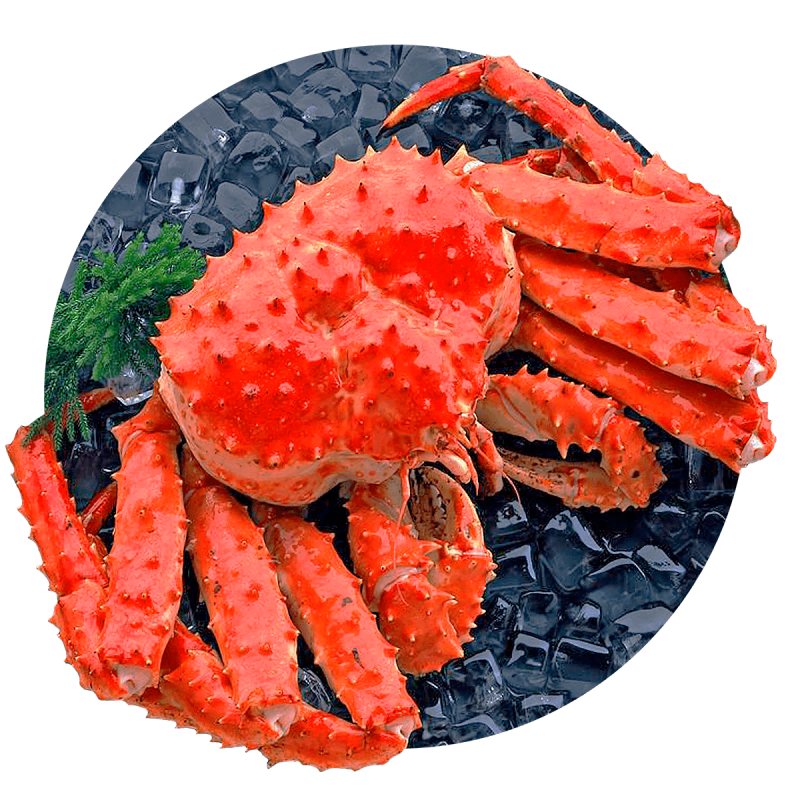 Камчатский краб Охотское море