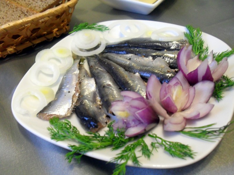Сельдь скумбрия салака