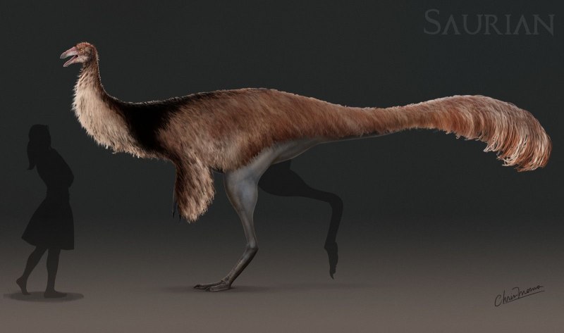 Saurian концепты