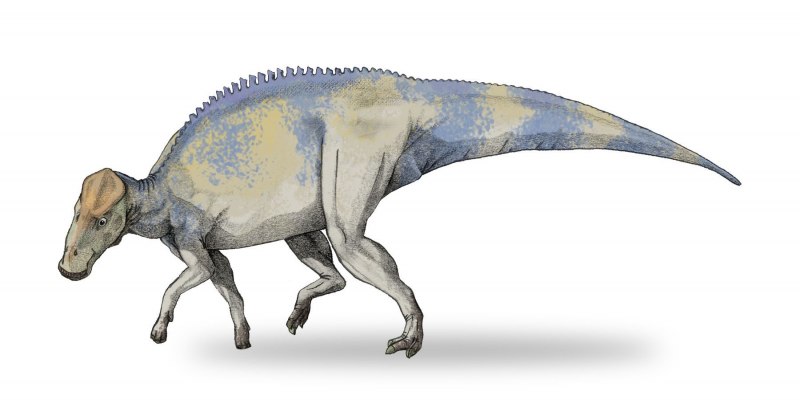 Паразауролоф (Parasaurolophus)