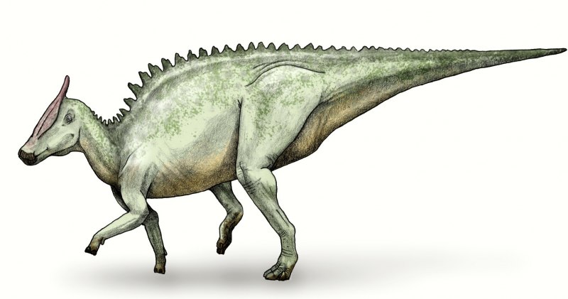 Динозавр Saurolophus