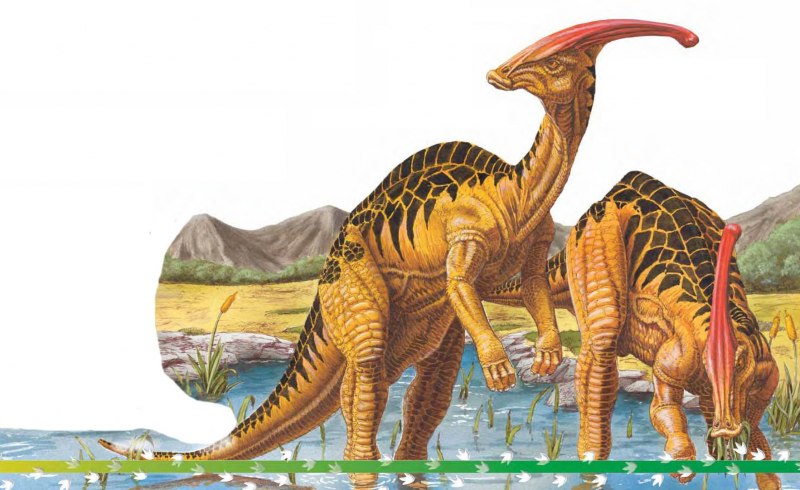 Hypacrosaurus stebingeri