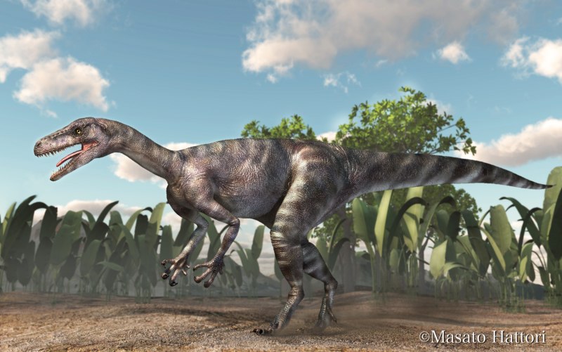 Staurikosaurus Size Comparison