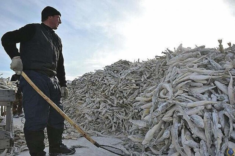 Ловля рыбы на Сахалине