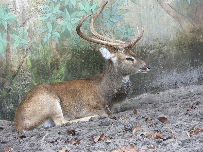 Heritage Deer Park