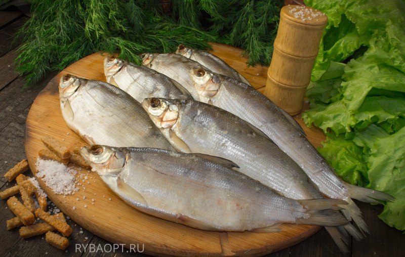Амурский омуль