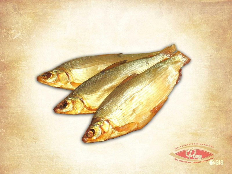 Омуль Арктический