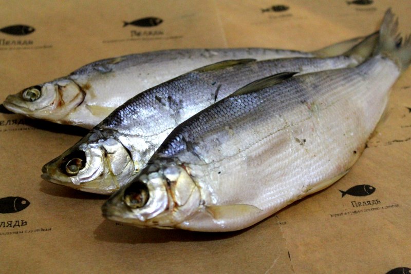 Пыжьян и щекур
